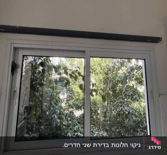 חלון נקי עם נוף של עצים ירוקים בחוץ